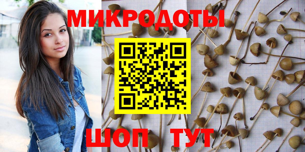 Химки  Псилоцибиновые грибы Magic Shrooms  Галлюциногенные грибы Magic Shrooms  Вход с VPN 